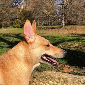 Meet your Posher, Doris